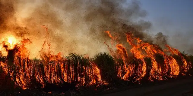 intentional-fires Image