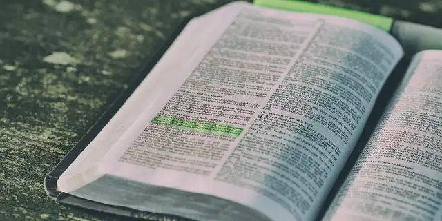 the-bible-companion-book-8-isaiah-daniel Image