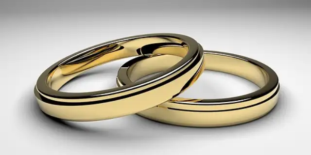 the-doctors-convenient-marriage Image